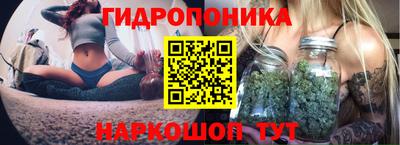 спиды Кимры