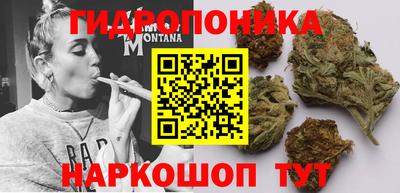 метадон Кингисепп