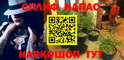 MDMA Premium VHQ Камышлов